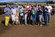 Ashley Stokes and beef herd breeding class